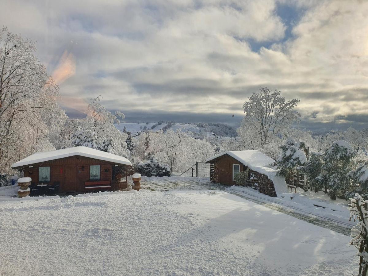 4 Sterne Ferienwohnung 140 Qm Im Haus Tina Sankt Andreasberg Exteriér fotografie