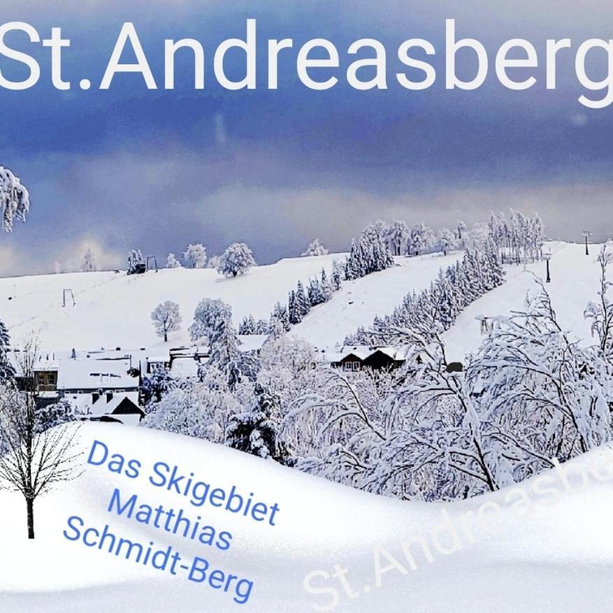 4 Sterne Ferienwohnung 140 Qm Im Haus Tina Sankt Andreasberg Exteriér fotografie